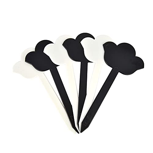 Lot de 10 marqueurs de saveurs en forme de fleur pour comptoir de glaces, pâtisserie, épicerie fine, rigides et réutilisables