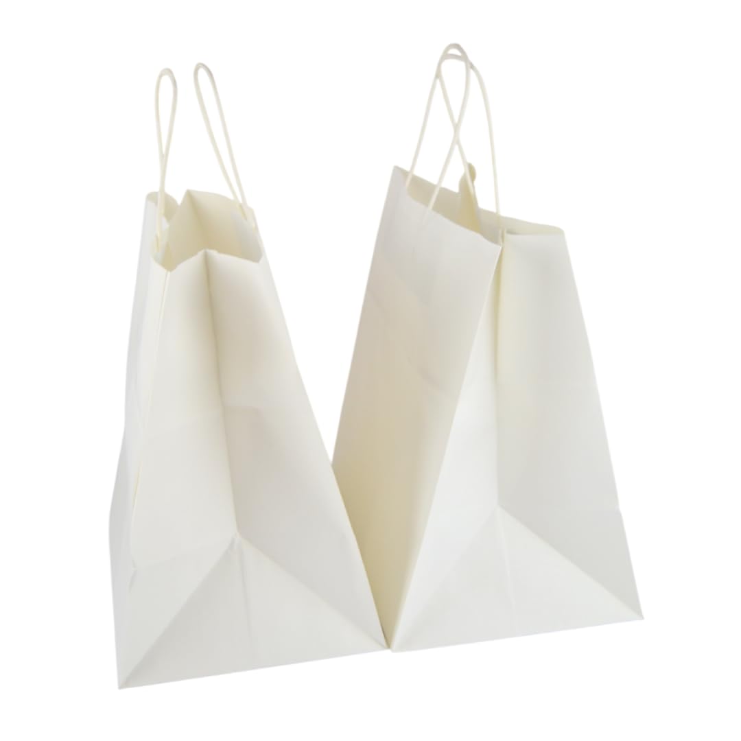 Lot de 25 sacs en papier blanc neutre 100 g/m²
