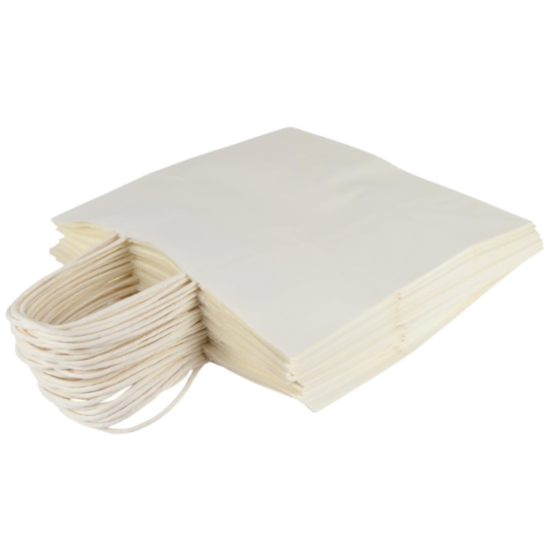 Lot de 25 sacs en papier blanc neutre 100 g/m²