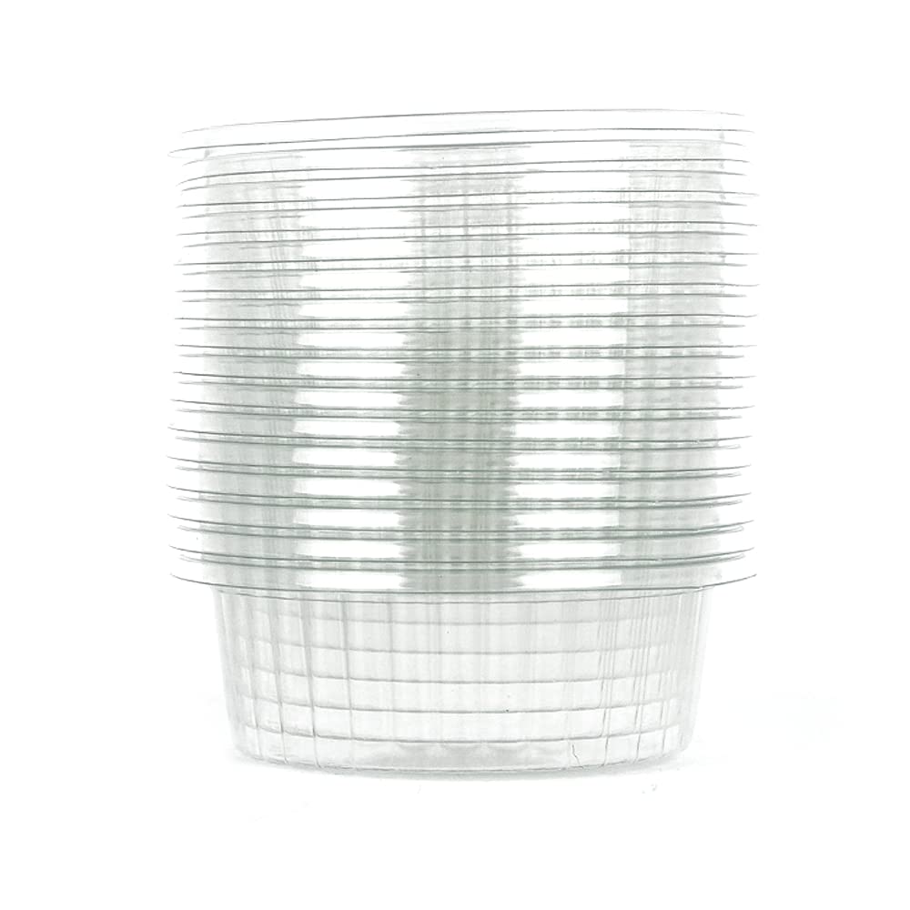 100 bandejas de postre con almíbar, vasitos de papel monodosis para babá y savarin redondo