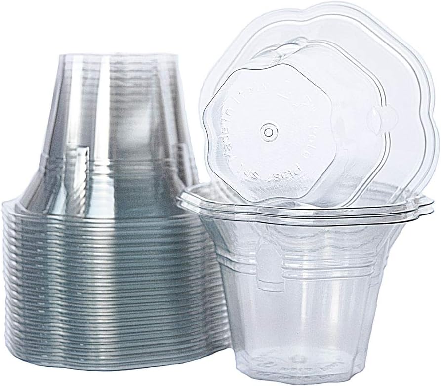 PZ 100 Coupe de yaourt, de glace et de salade de fruits en forme de fleur