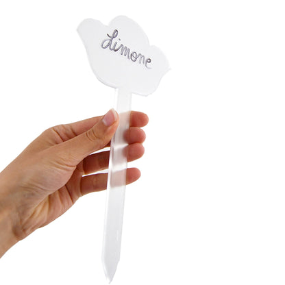 Lot de 10 marqueurs de saveurs en forme de fleur pour comptoir de glaces, pâtisserie, épicerie fine, rigides et réutilisables